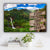 Costa Rica Mountains with Waterfall Color Family Names Premium Canvas